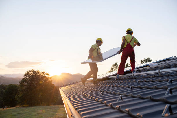 Best Roof Moss and Algae Removal  in Birchwood Lakes, PA