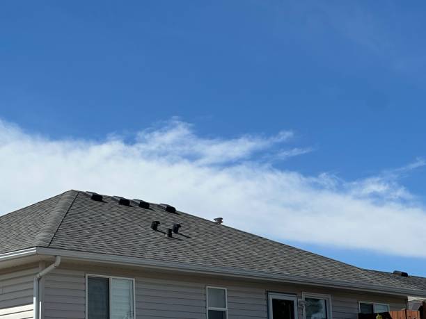 Best Metal Roofing Installation  in Birchwood Lakes, PA